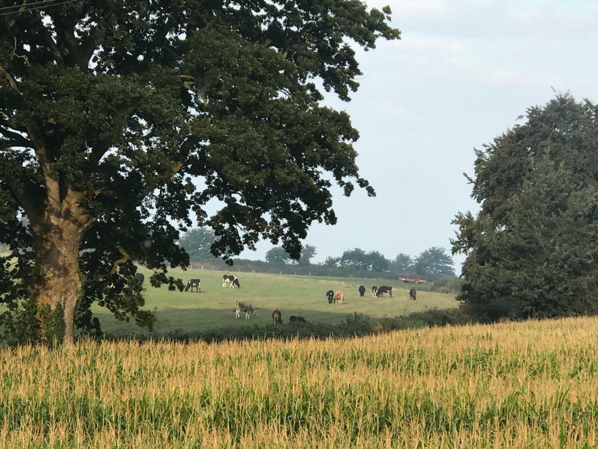 Hunters Lodge Exeter, Free Parking, Country Views, Great Wi-Fi, Large Garden Poltimore Eksteriør bilde
